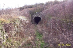 Umka tunel (Small)